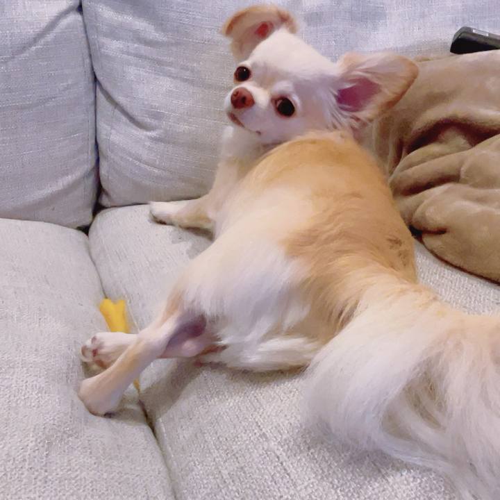 9e23fe35 12f7 4de5 931f 7ecc1007e344 1694163322167