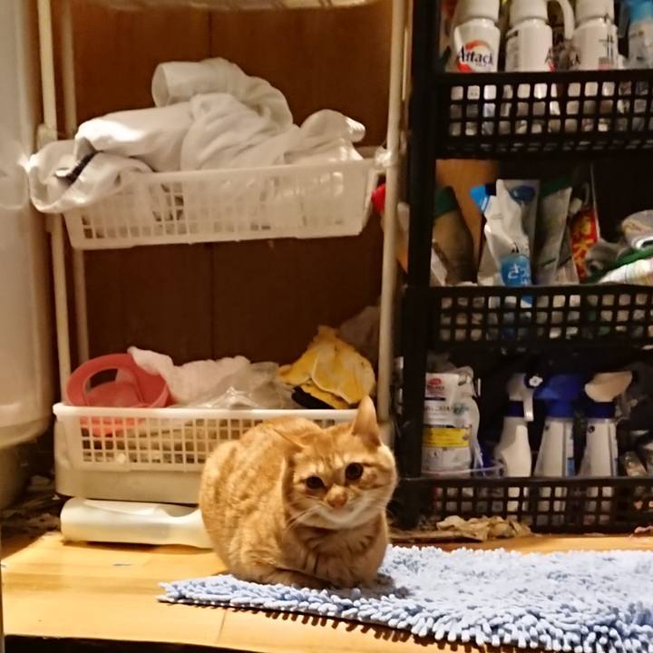 9e244e87 7b31 487f b561 7917e8617aa2 1638524718007