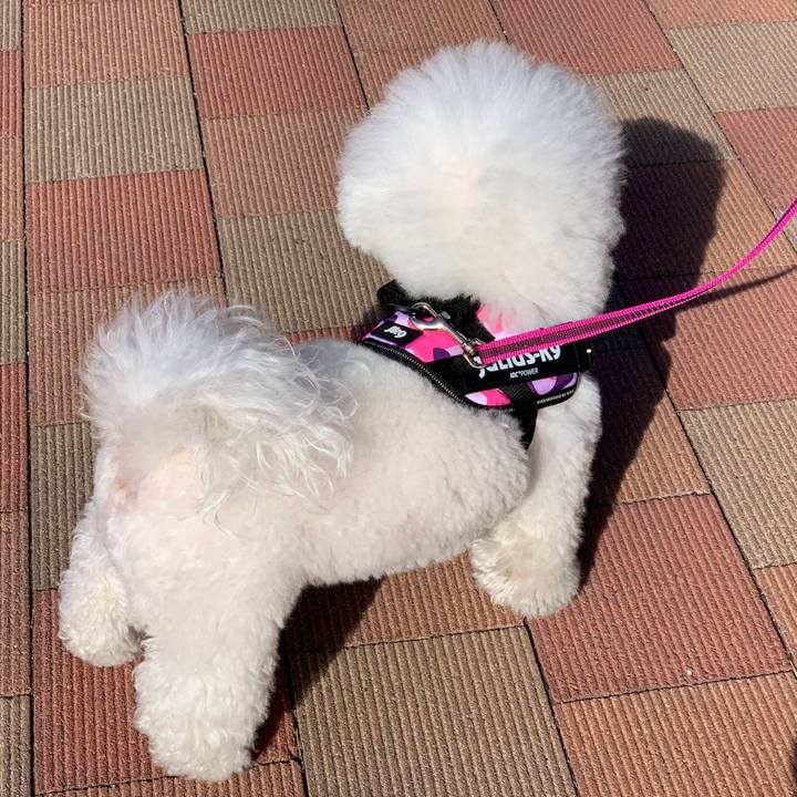 9e2463f9 ae39 4606 9c8a 2ccf7265e0b7 1710564461520