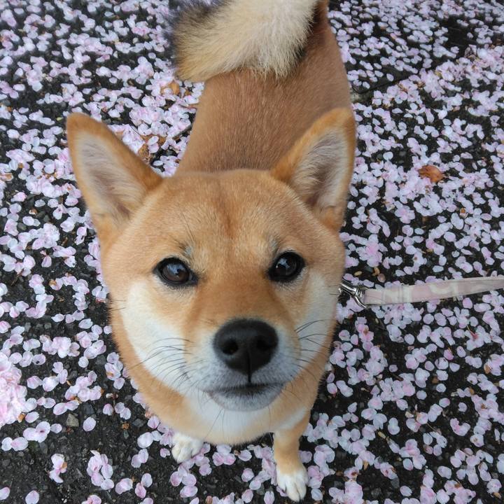 9e247372 8445 4490 8518 1ee011b350e9 1763466742327