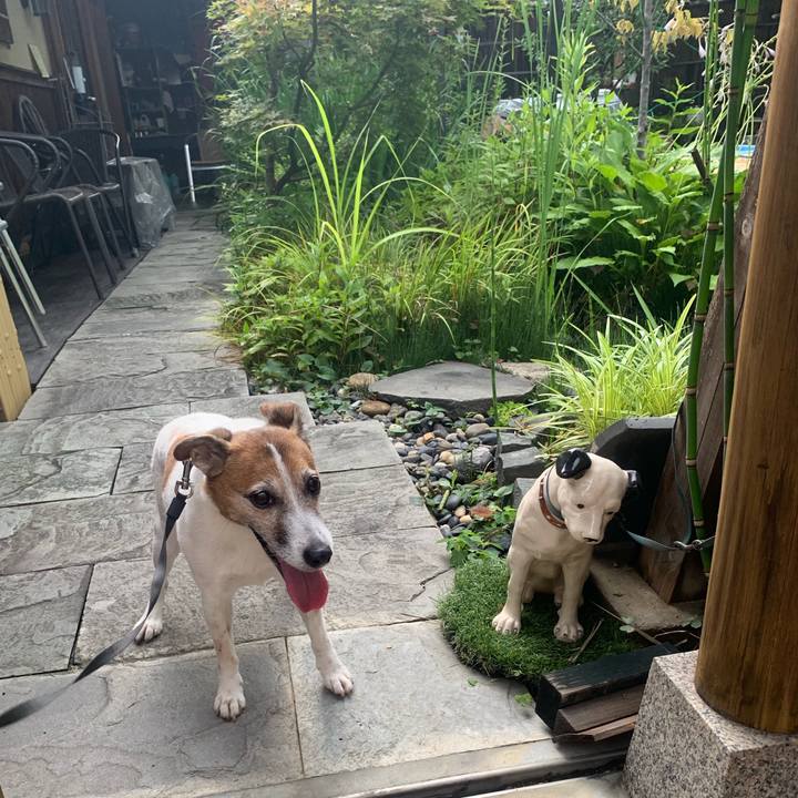 9e2474a4 8898 412b 87d8 c4081b99fe62 1561887550498