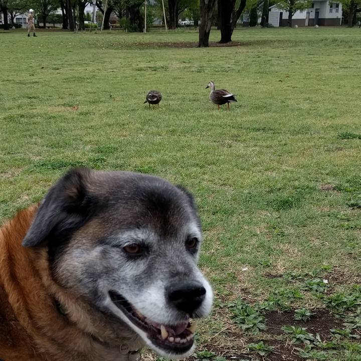 9e247cdd 4a1a 4f48 b5e7 f7b2492cd0c5 1556152202893