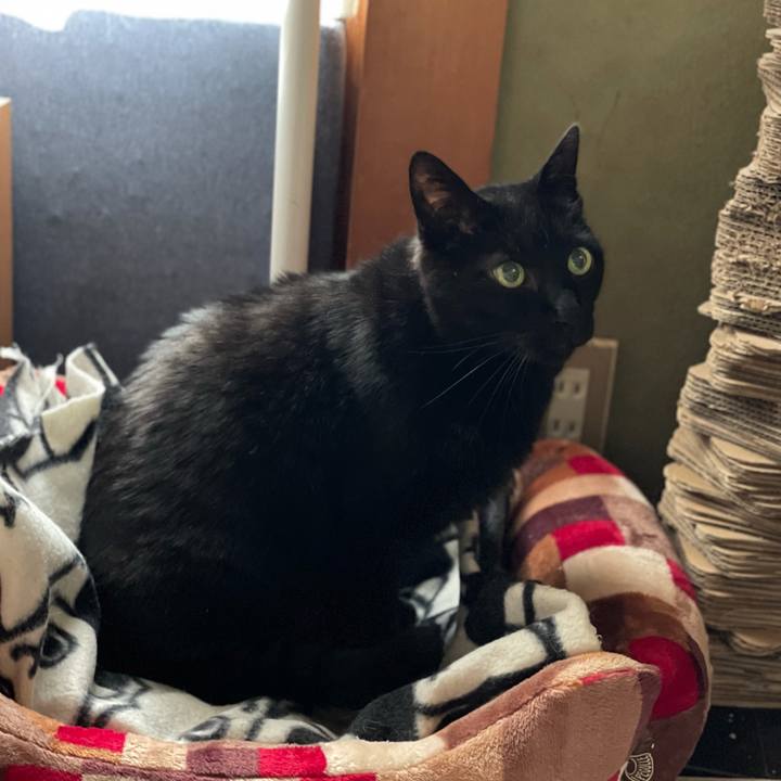 9e248358 11b5 4639 8634 5e2735622b51 1622253452556