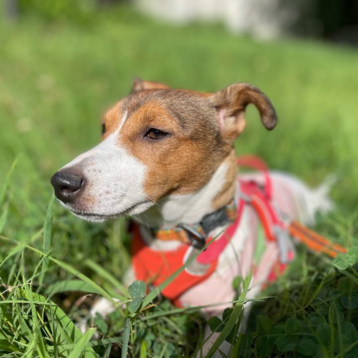 9e24d3cf 689d 4ca8 9f5a a9a30a5bf43a 1696646868356