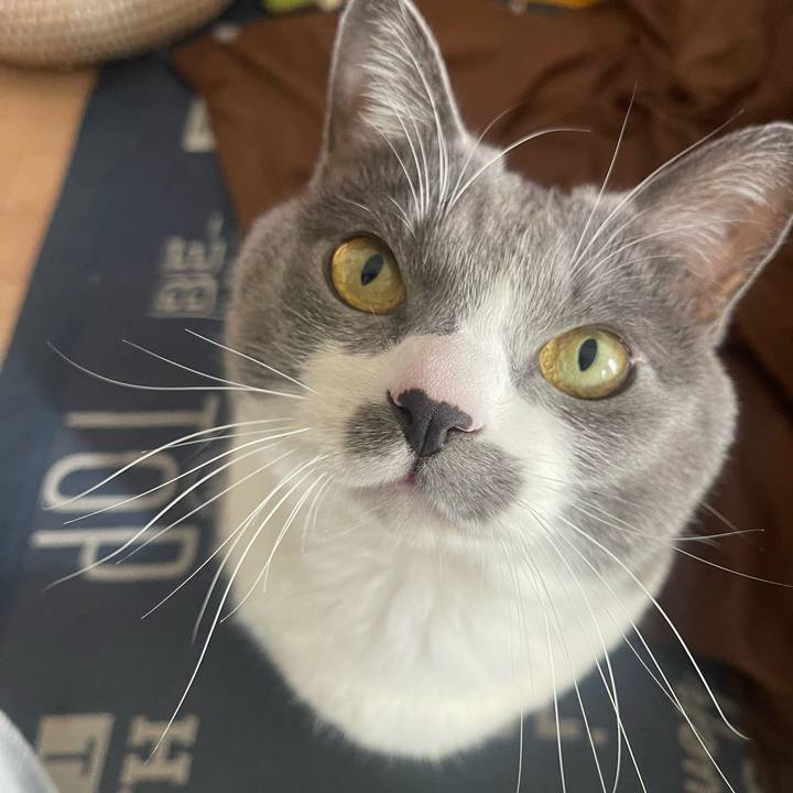 9e24e08a d3af 4673 861d 2c324244f10a 1737005423339