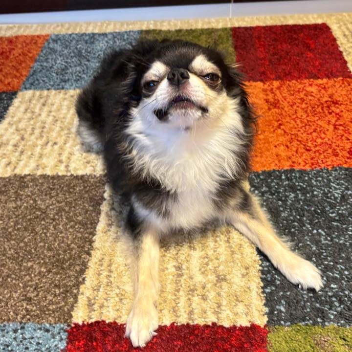 9e24e33e 6e16 4b37 a9a3 a29f285aa864 1758387332597