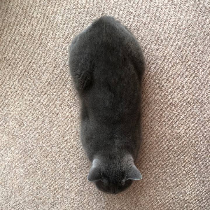 9e24f13e 5b13 43ed 8c20 97e90ea212c4 1529994944668