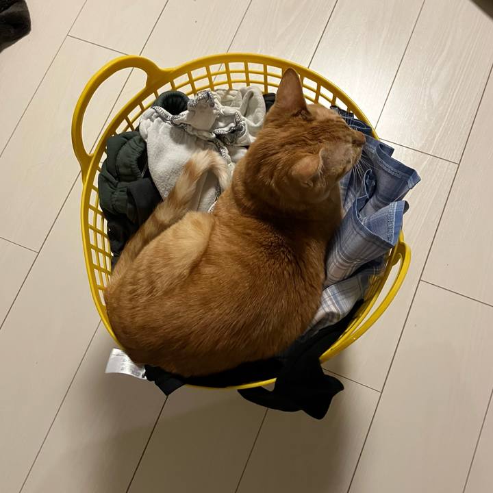 9e24f65b 0d7e 43a3 bfd2 3567b90595fd 1768489818157