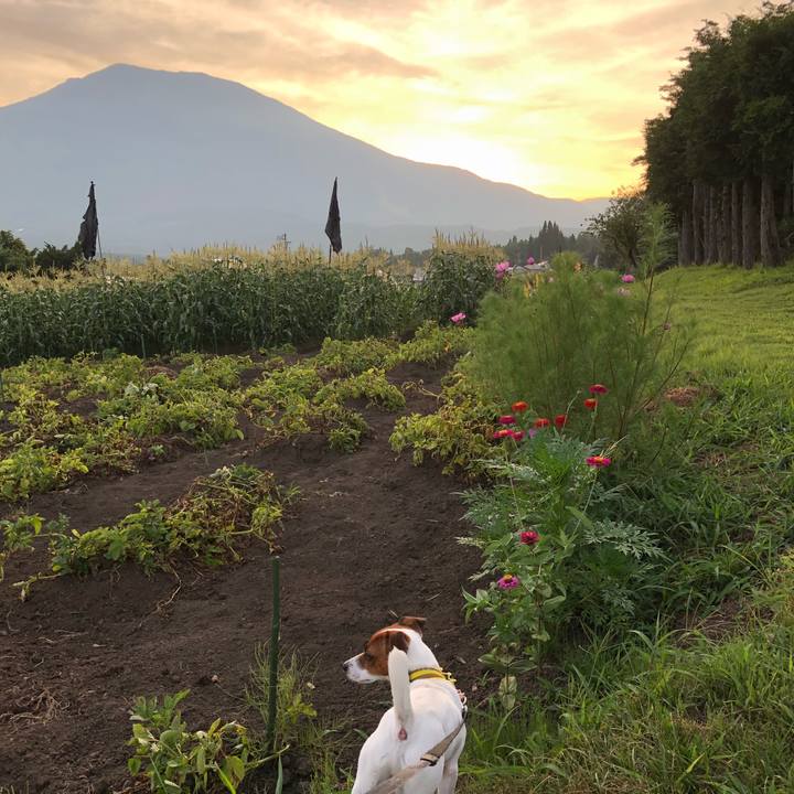 9e2530e2 86a8 4f8f ae4d a1b7f8bc636b 1532525049358