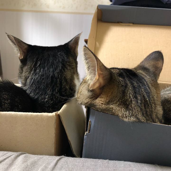 9e25457d e76d 49d5 badb fd955c20a48b 1541361979447