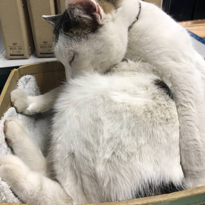 9e254a3d 75e4 4d1f 9628 56f7d0a20faf 1516854226718