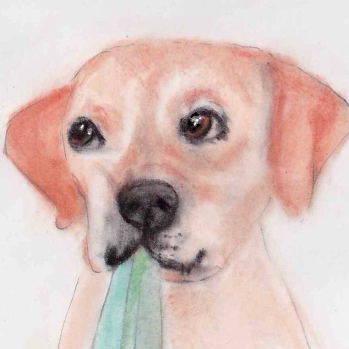 9e25870e c270 4fd7 85e1 2ec00da21c8e 1641960471140