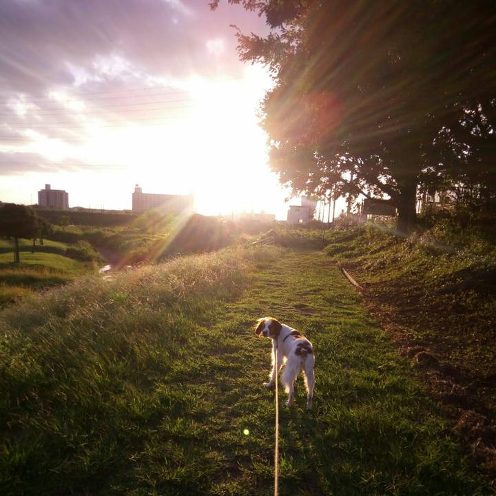 9e25c4f6 87e6 454b b12a d4e652517cc2 1510488959113