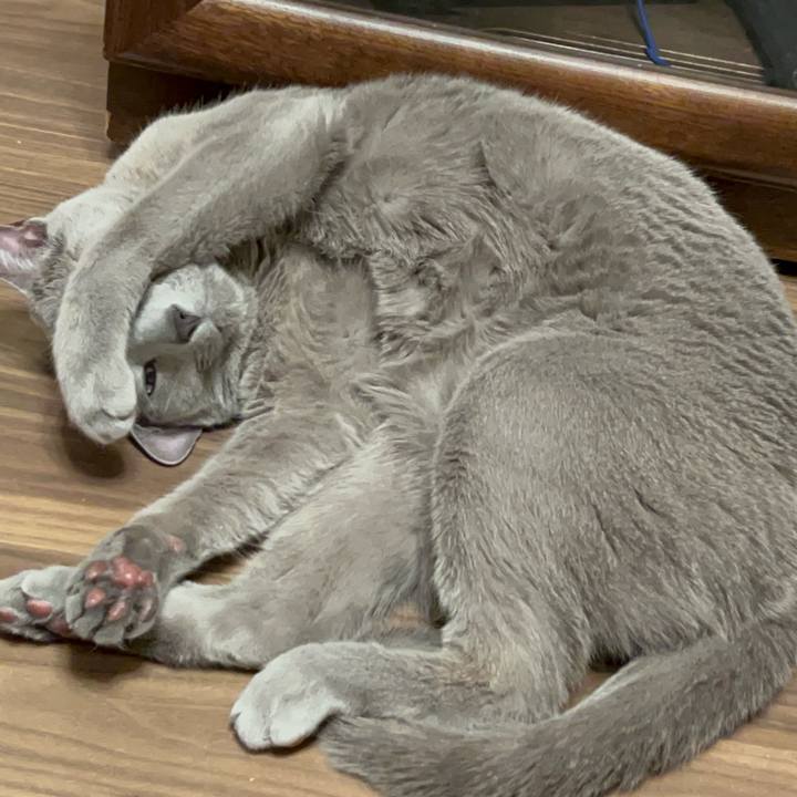 9e25f7ea f3b8 4d2f 90f6 3dc3c042de0d 1738920159058