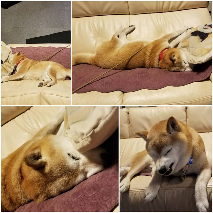 9e2609e0 946e 4c03 8a5b c73d708d71fa 1716157019312