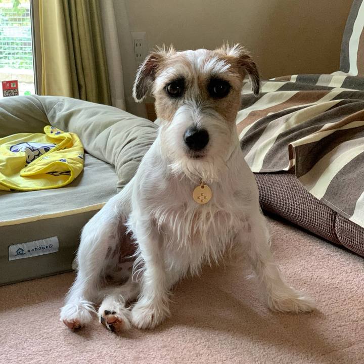 9e2621dd e90c 4e39 b112 1f8f224b7931 1629638716815