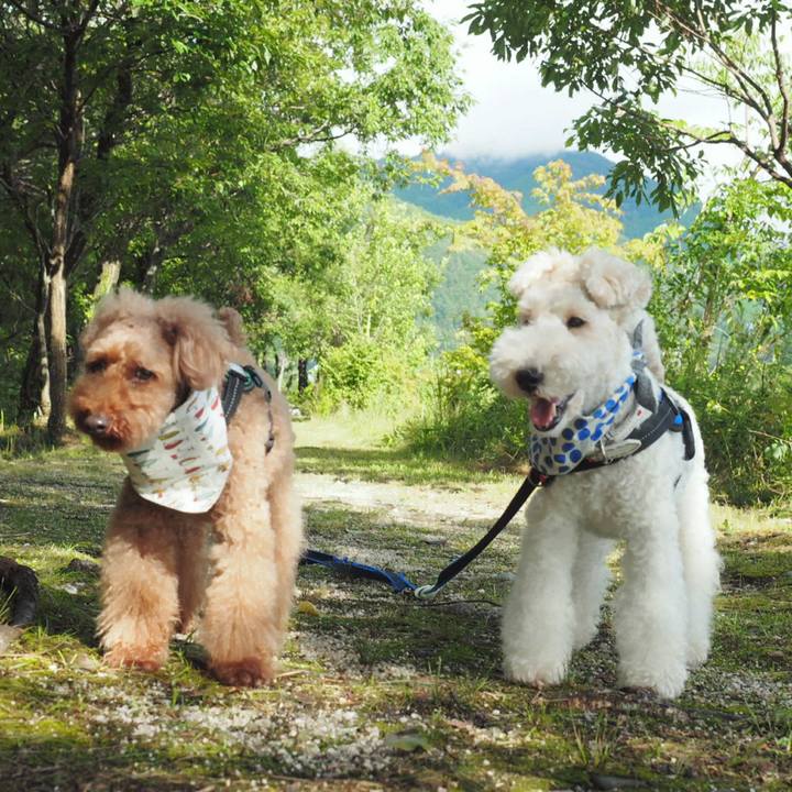 9e264c68 f635 4c7e 9ca9 cad64e60b390 1531023196945