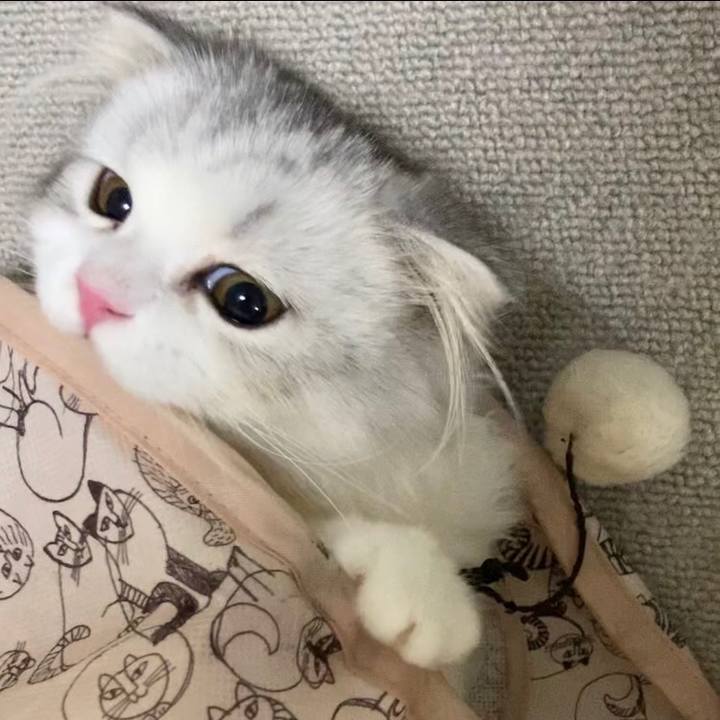 9e26519f 3887 42f1 af0a 0163ff41ceb4 1599308692625