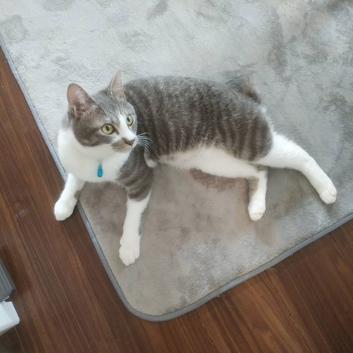 9e26759e 1ac5 493f a645 c763bc72f6d2 1587943044289