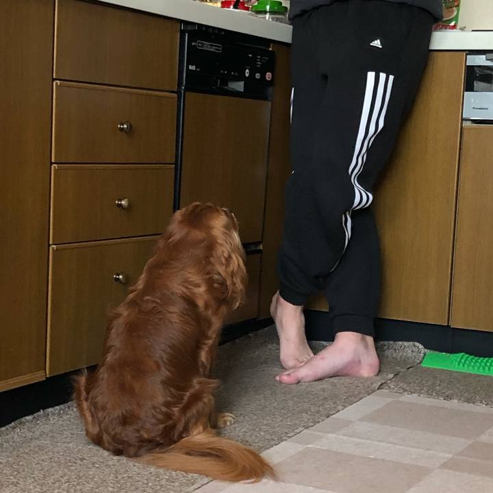 9e26958d ac15 4b4a 9e81 2df6c5edbef3 1635546102996