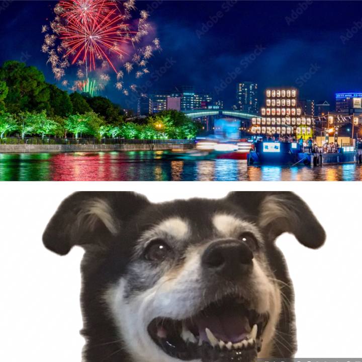 9e269598 8b61 443b 84d4 f12324e0ccfe 1753441402528