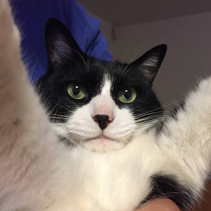 9e2699d7 c890 4e51 ae69 e059fe4f4346 1529412933367