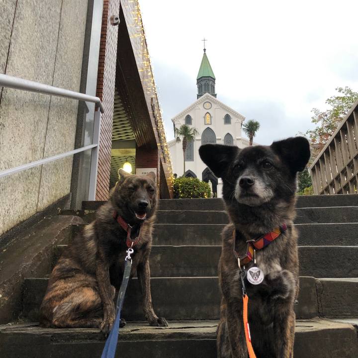 9e26cb83 53be 4187 8ebb e855c343c478 1576576663528