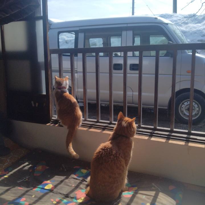 9e26fdc1 2141 4759 8860 5db3fa5c5eb5 1741056555646