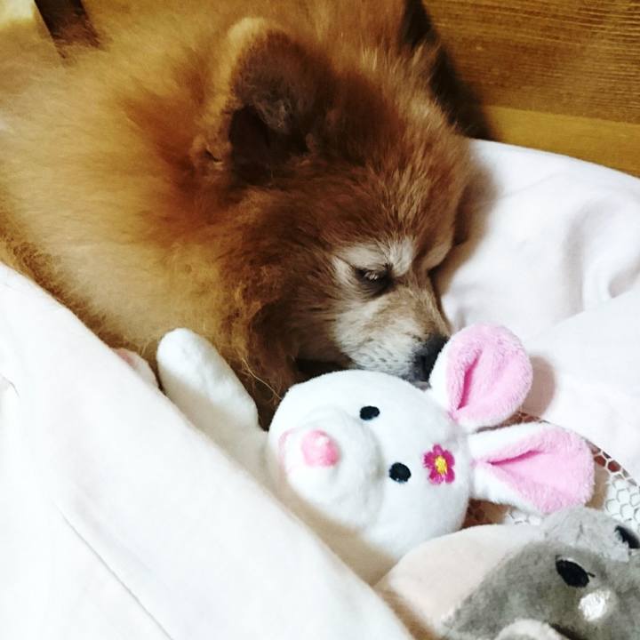 9e272f2a ca0a 41db b631 52e66a5db894 1511736957532