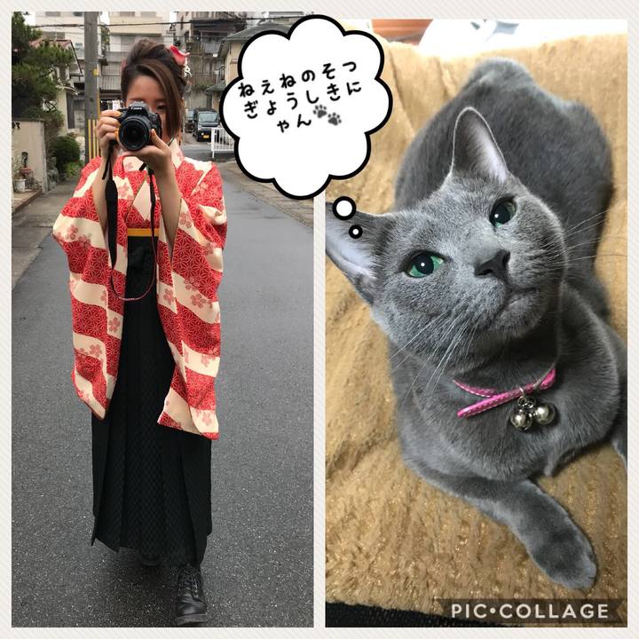 9e272fb4 1a3d 44f1 9184 97eb0781aa0f 1521422739247