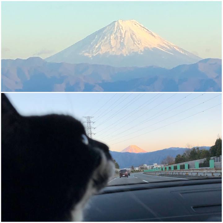 9e274c33 8d5c 4f18 9ed3 eea439d3346a 1553419138598