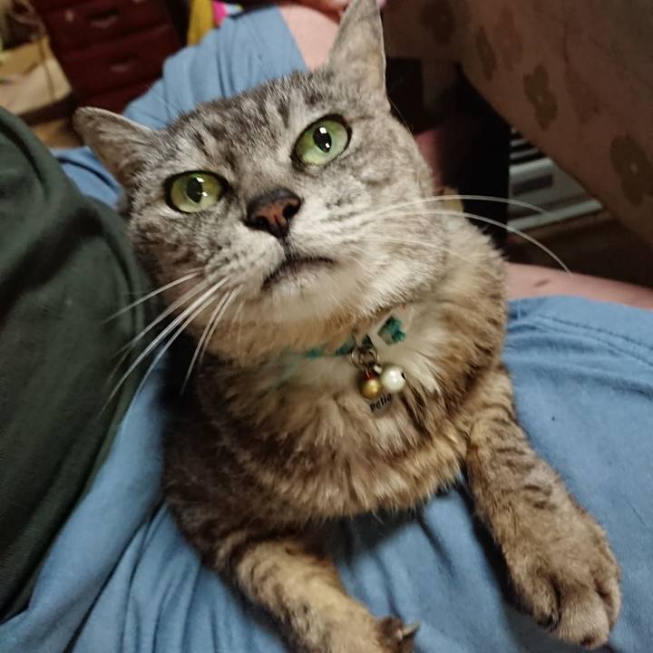 9e2767e7 5dab 408a 9b71 a847cc874071 1564657497111