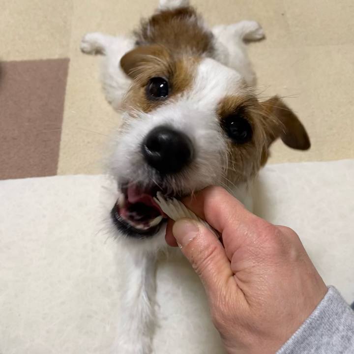 9e278776 b1f3 43a6 99d7 0c0f105c56f4 1743340932778