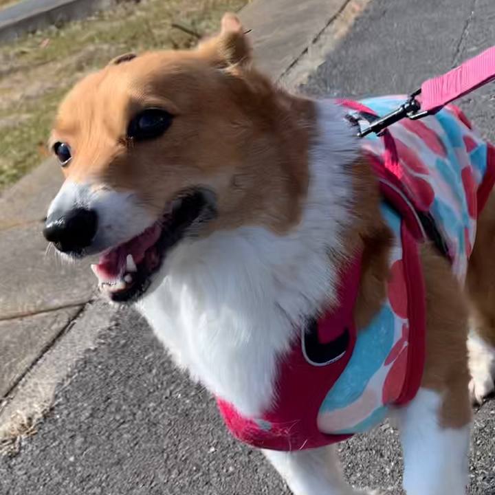 9e2796a2 0a40 4b0e 955f 990e5ddeeb5f 1645511198115