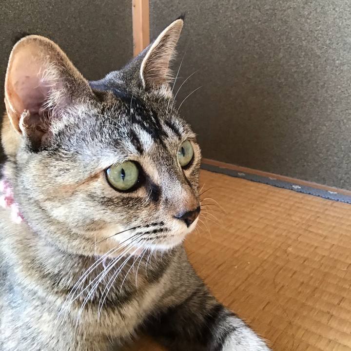 9e27a30d 54bf 470b 92f7 8bee665c9270 1590633488246