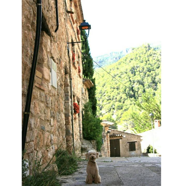 9e27d429 6781 4427 b960 560ebef2055c 1538396239514