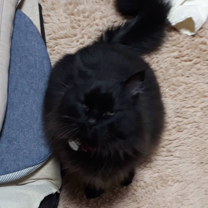 9e27d9a7 9352 4e4e bd4b ba16b92738c9 1523310212936