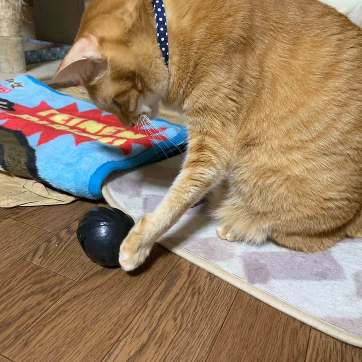 9e27de50 916f 439d 9460 7ab1f0af3957 1609059077994