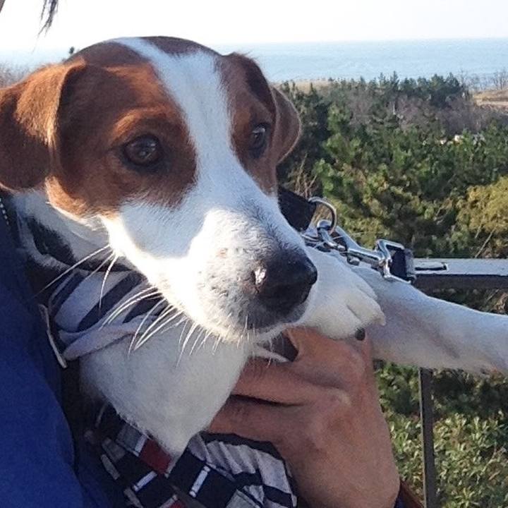 9e27e736 2c44 4073 abdb 7ba582ff168b 1509868759225