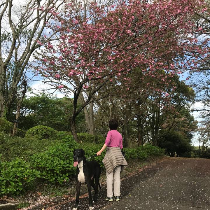 9e2825c3 a15c 4a27 a0bf 46975b5df3fe 1523056586285