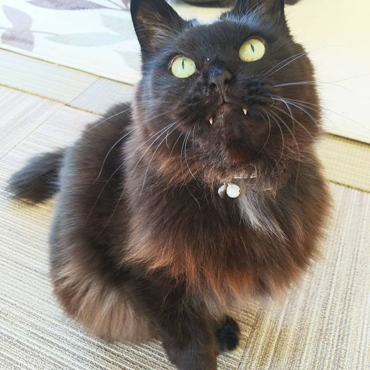 9e284e1a 017c 4958 b811 2df423c3e193 1546567545039