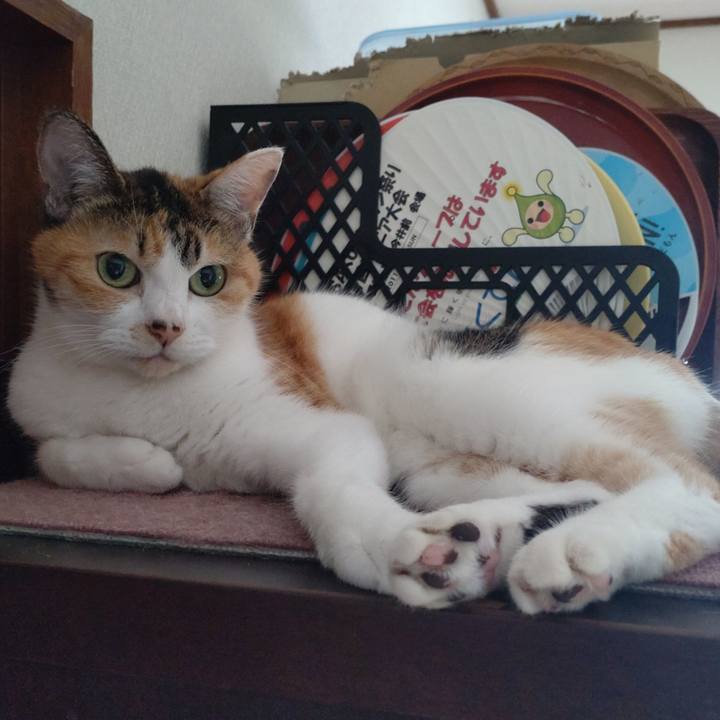 9e286d7b 8c92 421d a4f9 72d8200a8f31 1694992299366