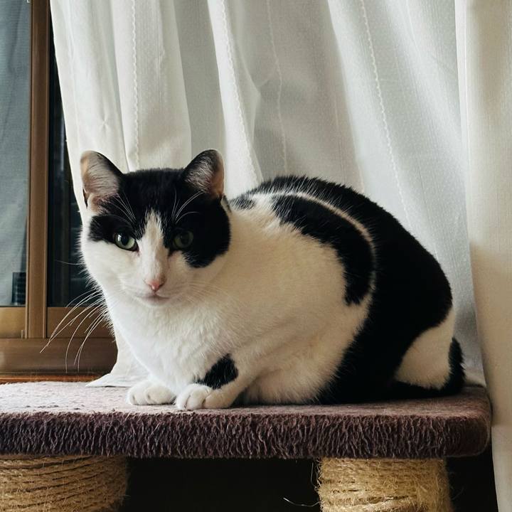 9e287318 6229 48ab a727 a6f7ccf8508d 1708827040995