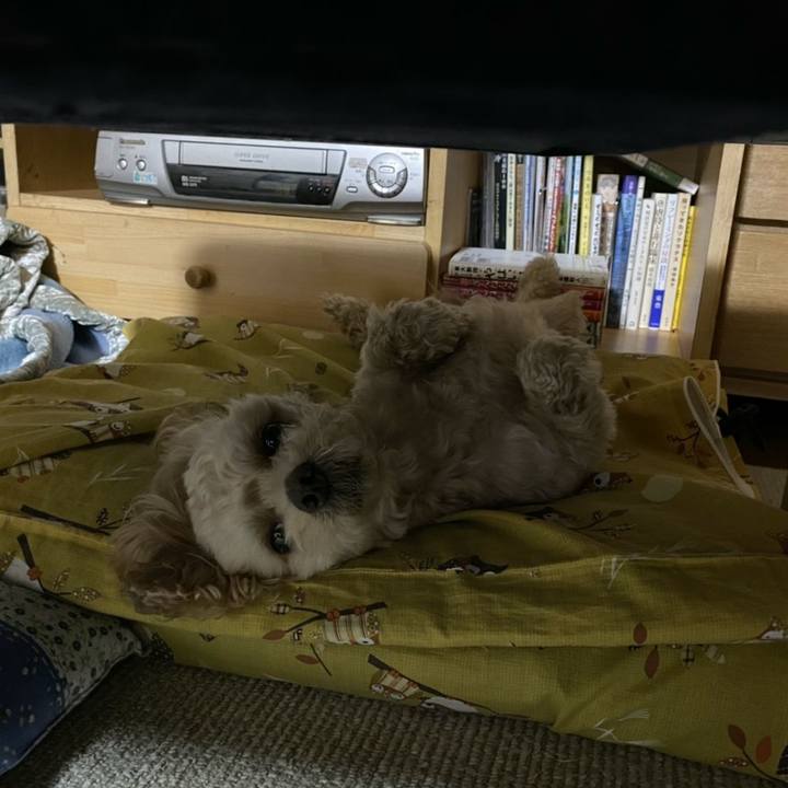 9e2881ad 7704 47aa b9c8 5103ef8078f6 1587911267639