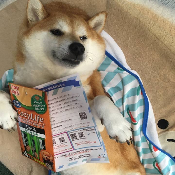 9e288e07 183e 4aa7 9c0f 202cf03e3fd9 1631159324422