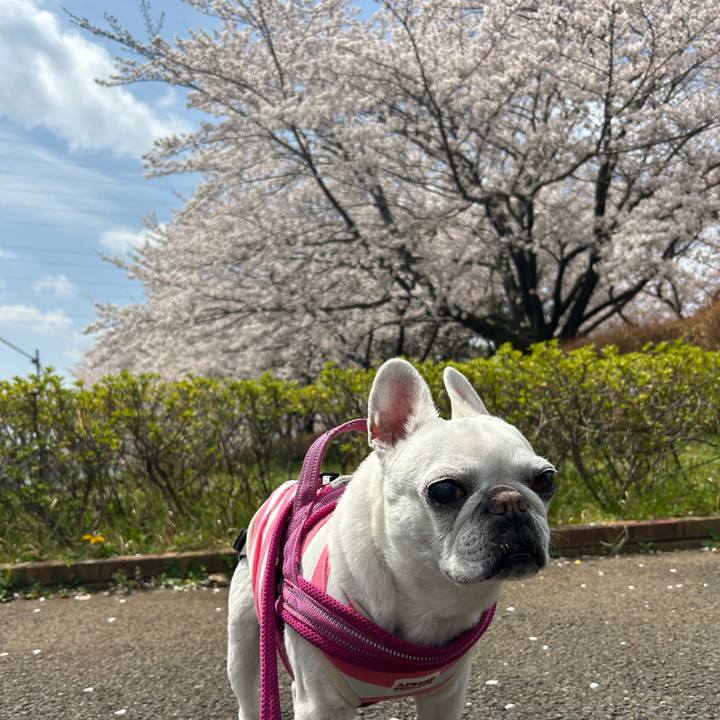 9e28f2fe bb0b 40c1 b118 0839f4276567 1744195802079