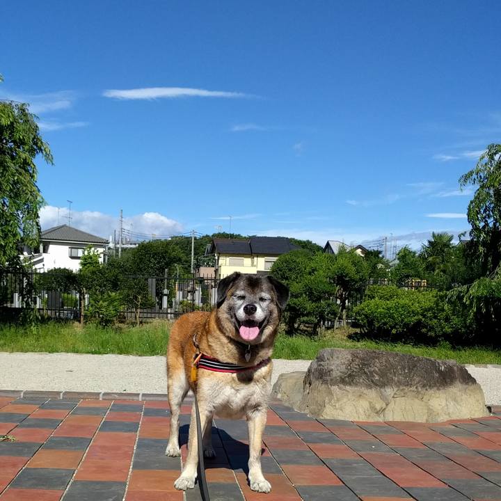 9e291aa4 7364 4d71 b2cb d33cf043c855 1530230136124