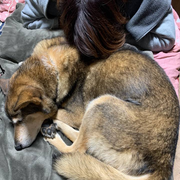 9e293fa0 6e39 4e80 b33e 3cd924bcebc9 1577715521646