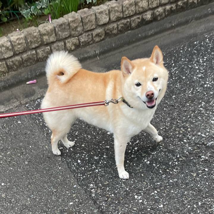 9e294c0e 29fe 427a ad72 49b076ff75fb 1696633522134