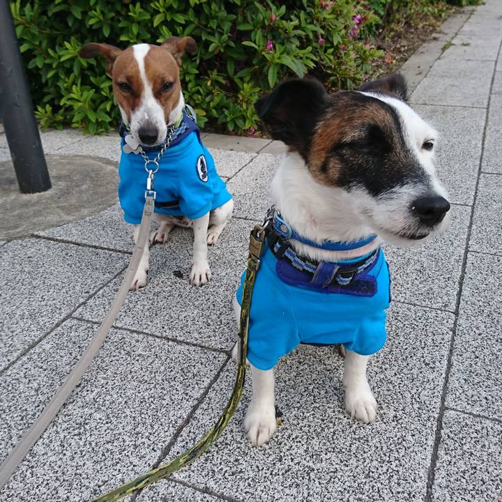 9e296f49 1baa 4588 b8db ca685e30a9bd 1558303309119